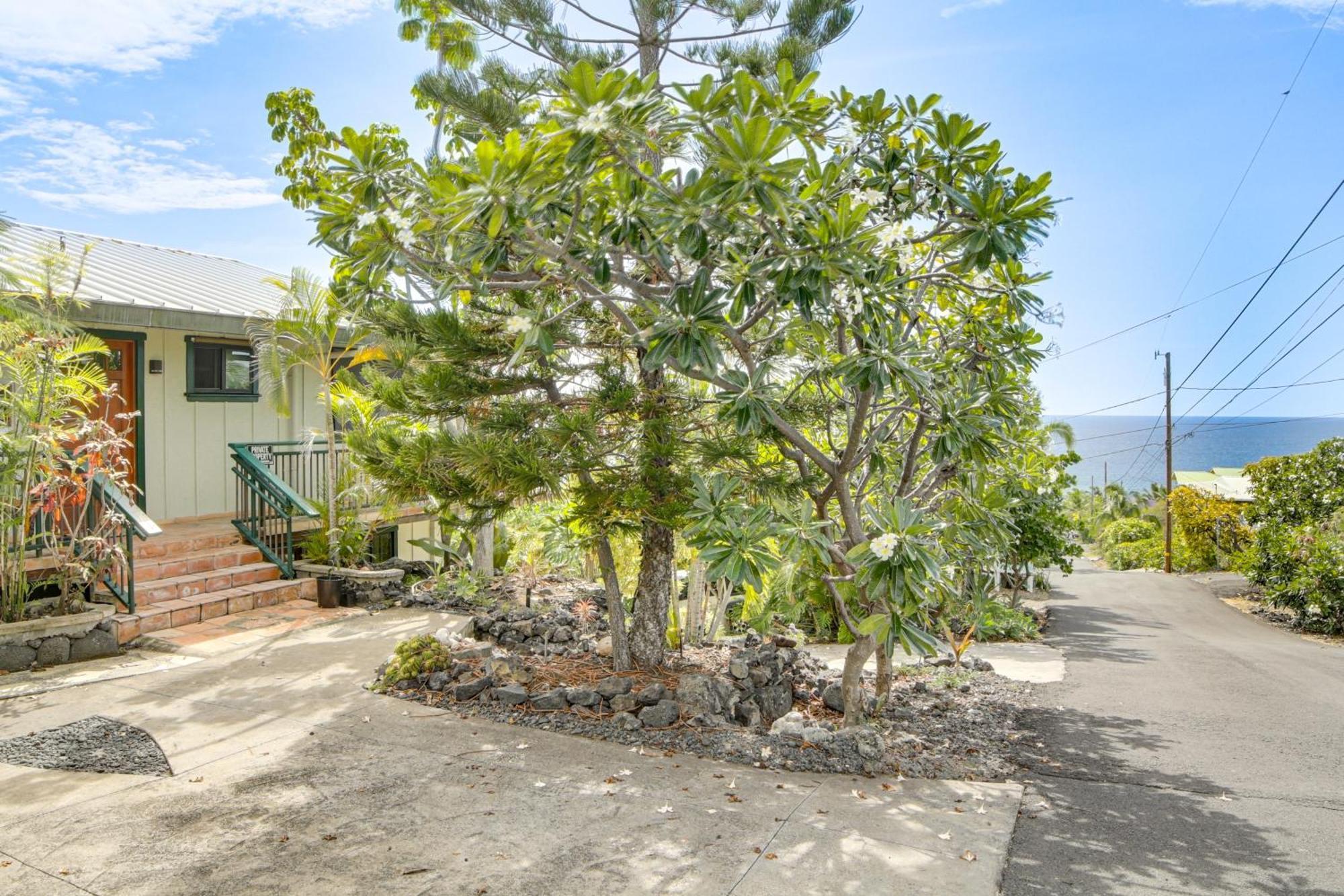 Ocean-View Bungalow Walk To Pebbles Beach! Hookena Exterior photo
